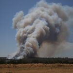 canakkalede orman yangini basladi tMvEnjxT