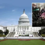 abd hamasa gazzede kapsamli ateskes anlasmasi icin yeni teklifini iletti zupxbD8M