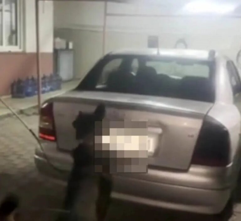 adanada 4 kilo skunk bulundu A2Xu7MsJ