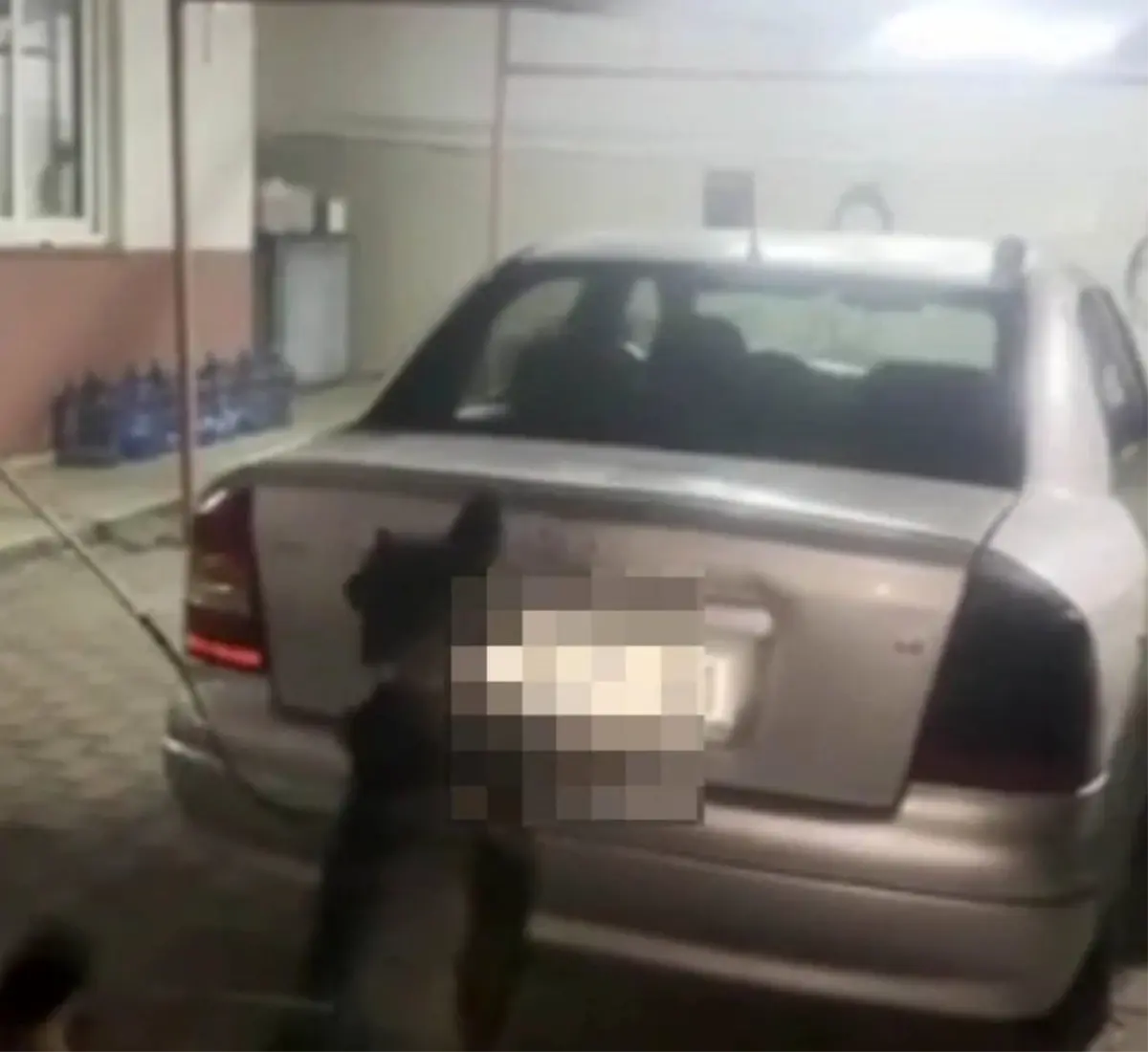 adanada 4 kilo skunk bulundu A2Xu7MsJ