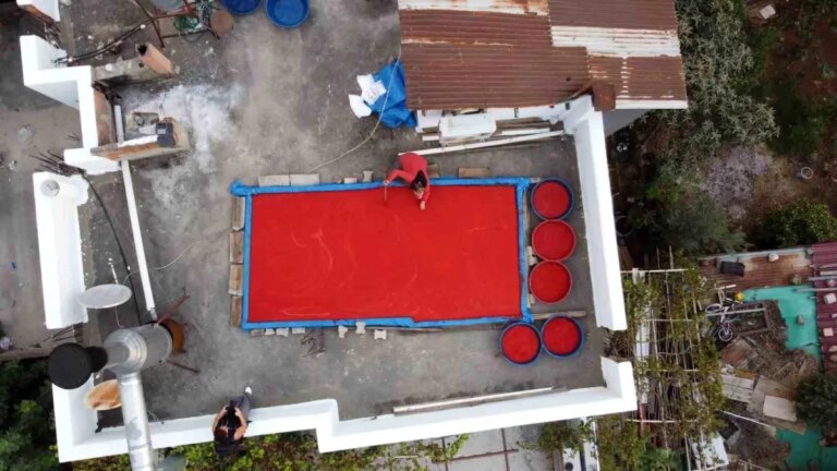 adanada salca mesaisi basladi l6PvW2C4