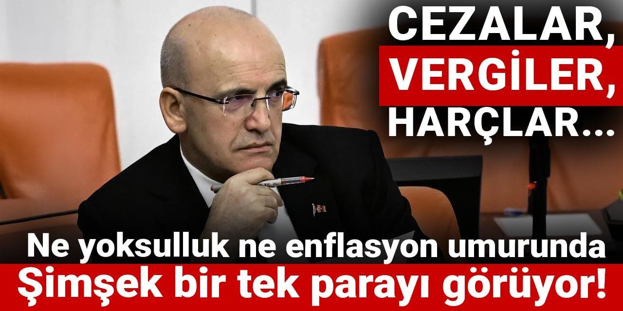 cezalar vergiler harclar ne yoksulluk ne enflasyon umurunda simsek bir tek parayi goruyor SNZev5r1