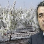 chpden ciftcilere odenecek destek tutarina buyuk tepki ancak vicdan rahatlatma cabasi olabilir 6K2OQafy