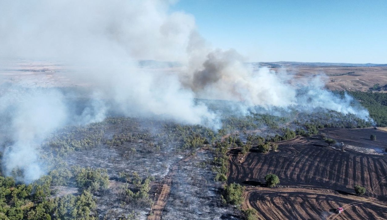 corumda arazi yangini ormanlik alana sicradi YeS7yg13