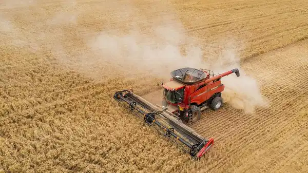 tuik eylul verilerini acikladi tarimda uretici fiyatlari yukseldi LCmpPkBN.jpg