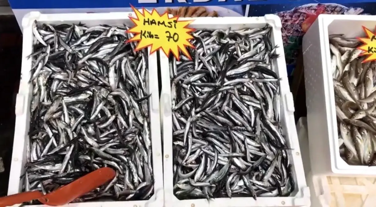 akcakoca balikci barinagi baskanindan taze balik uyarisi xrD9sl6a.jpg