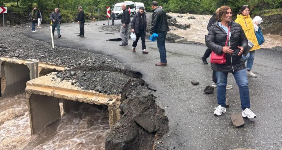 Sel Felaketi Yaşamı Olumsuz Etkiledi! Dere Taştı, Köprü Yıkıldı