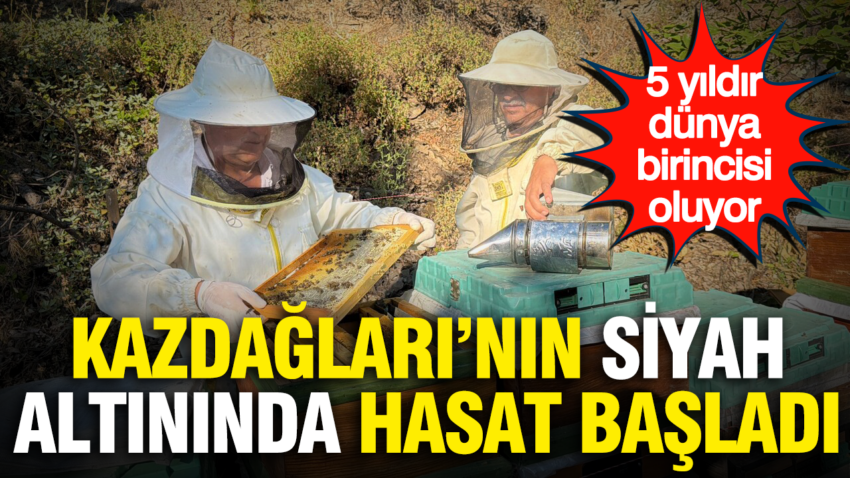 Kazdaglarinin siyah altininda hasat basladi 5 yildir dunya birincisi oluyor 9yVZepeN