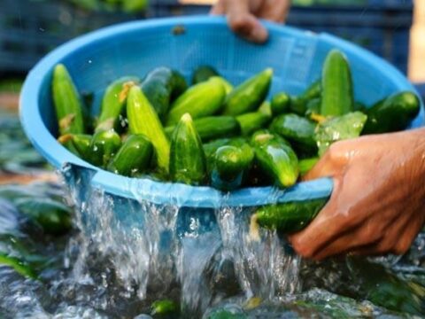 Salataliklari kutur kutur yapan basit yontem sicaktan kuruduysa cope atmayin f21YgtQp